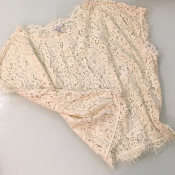 NEW Joie Addison Scalloped Lace Cream Top - Picture 4 of 7